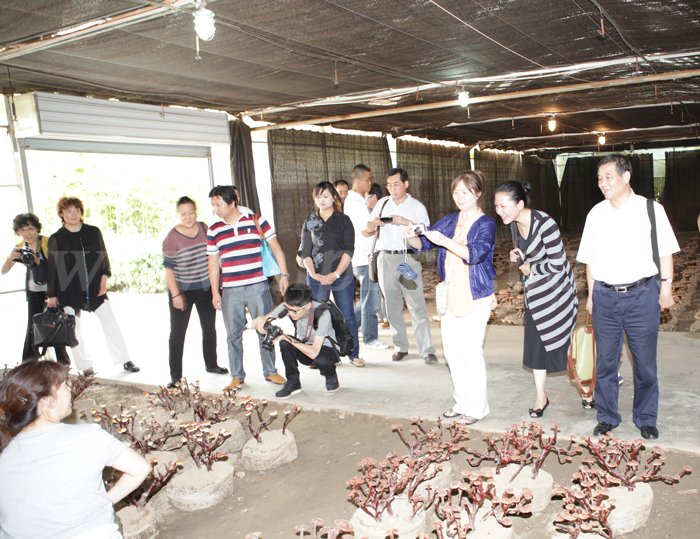 圖片關(guān)鍵詞 圖片關(guān)鍵詞