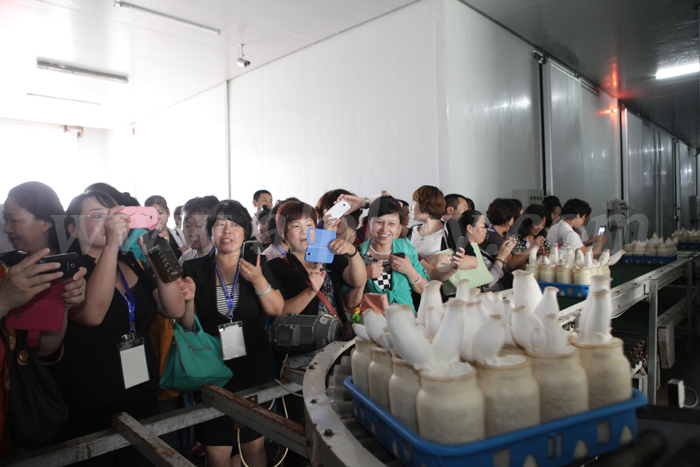 圖片關鍵詞 圖片關鍵詞