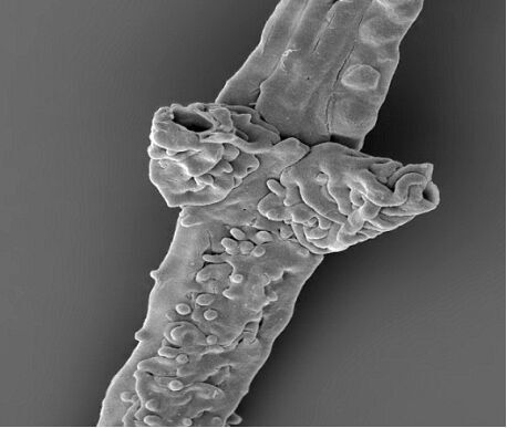 圖片關(guān)鍵詞 圖片關(guān)鍵詞