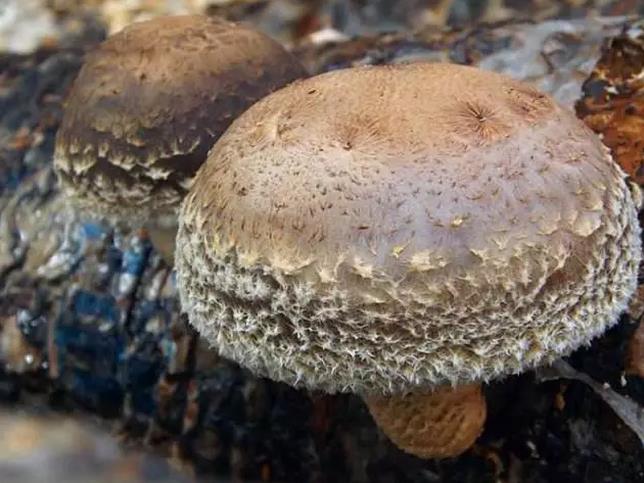 圖片關鍵詞 圖片關鍵詞