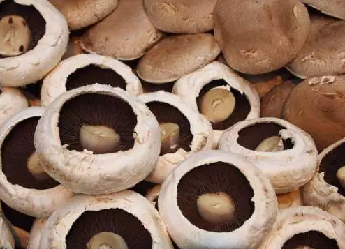 圖片關鍵詞 http://m.englishchat.com.cn/ewebeditor/uploadfile/20170914091257506001.png