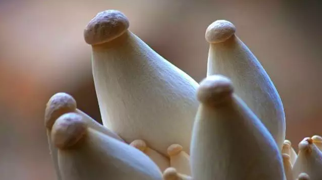 圖片關鍵詞 http://m.englishchat.com.cn/ewebeditor/uploadfile/20170914091357269001.png