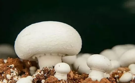 圖片關(guān)鍵詞 圖片關(guān)鍵詞