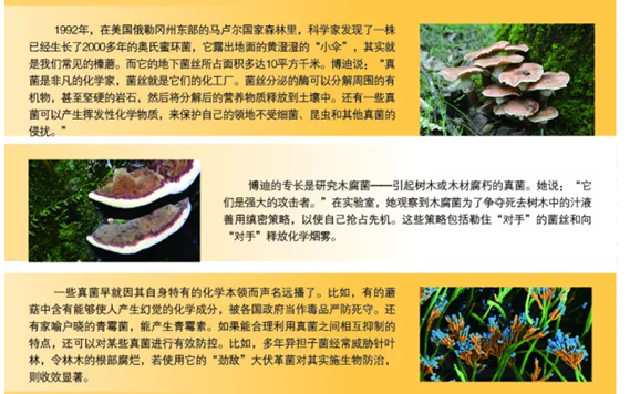 圖片關鍵詞 圖片關鍵詞