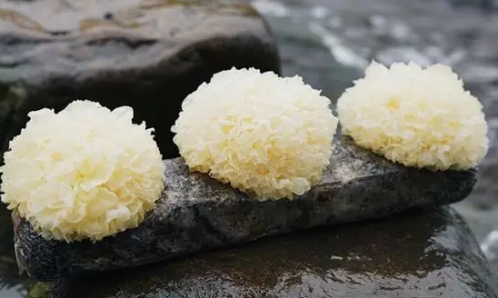 圖片關鍵詞 http://m.englishchat.com.cn/ewebeditor/uploadfile/20180328092751720001.png