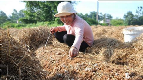 圖片關(guān)鍵詞 圖片關(guān)鍵詞