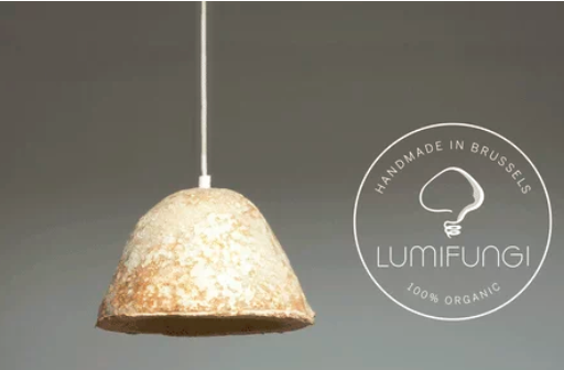 圖片關鍵詞 http://m.englishchat.com.cn/ewebeditor/uploadfile/20180727085601461001.png