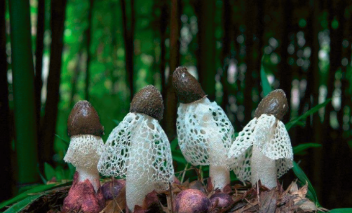 圖片關鍵詞 http://m.englishchat.com.cn/ewebeditor/uploadfile/20180828110329835001.png