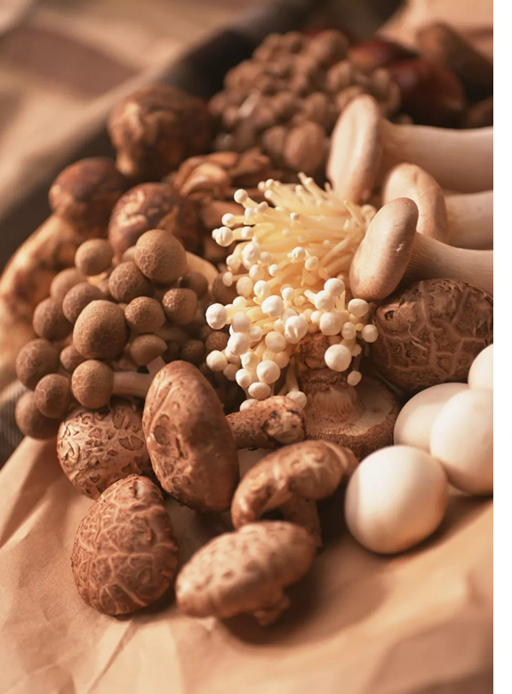 圖片關鍵詞 圖片關鍵詞