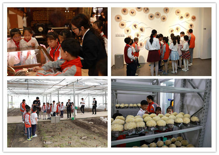 圖片關鍵詞 圖片關鍵詞