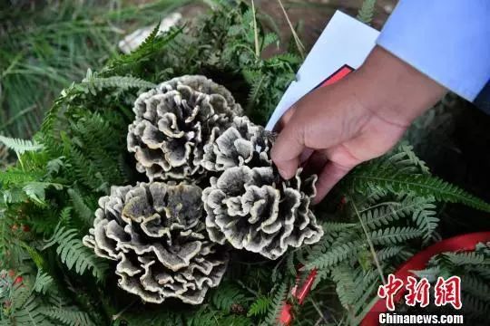 圖片關(guān)鍵詞 圖片關(guān)鍵詞