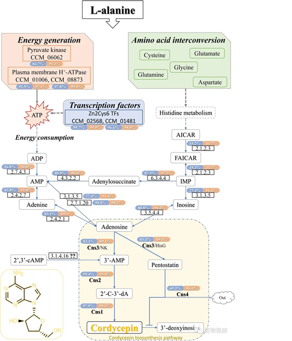 圖片關鍵詞 圖片關鍵詞