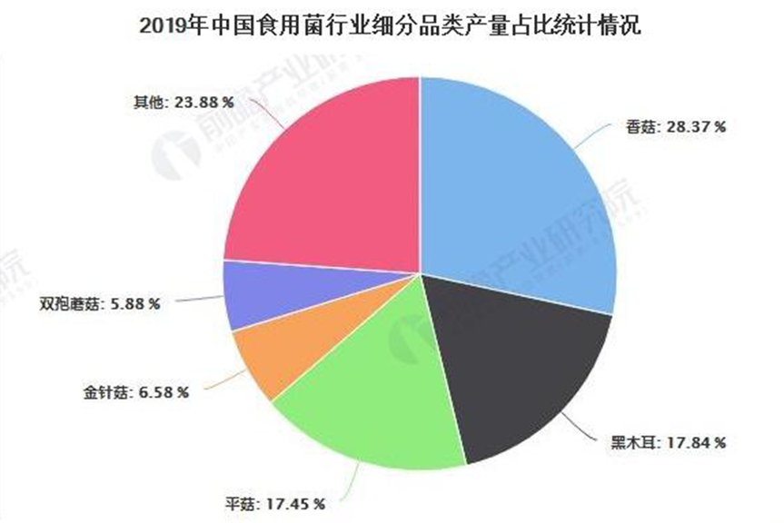圖片關(guān)鍵詞 圖片