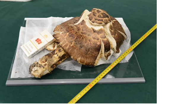 圖片關鍵詞 圖片關鍵詞