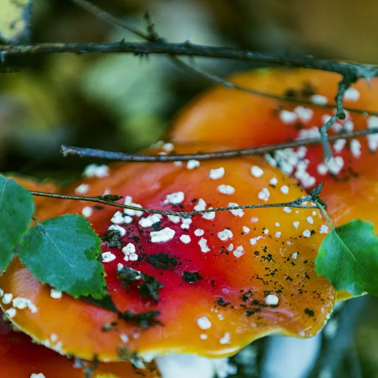 圖片關(guān)鍵詞 圖片關(guān)鍵詞