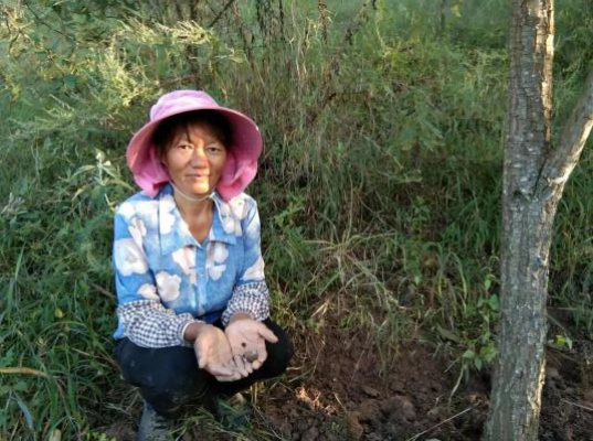 圖片關鍵詞 圖片關鍵詞