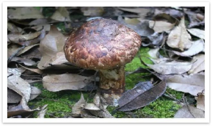 圖片關鍵詞 圖片關鍵詞