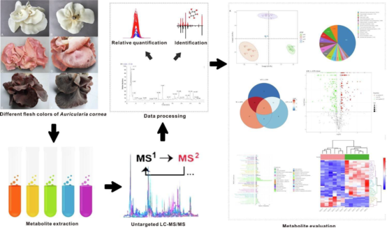 圖片關鍵詞 圖片關鍵詞