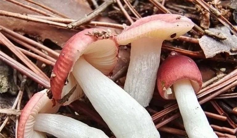 圖片關(guān)鍵詞 圖片關(guān)鍵詞