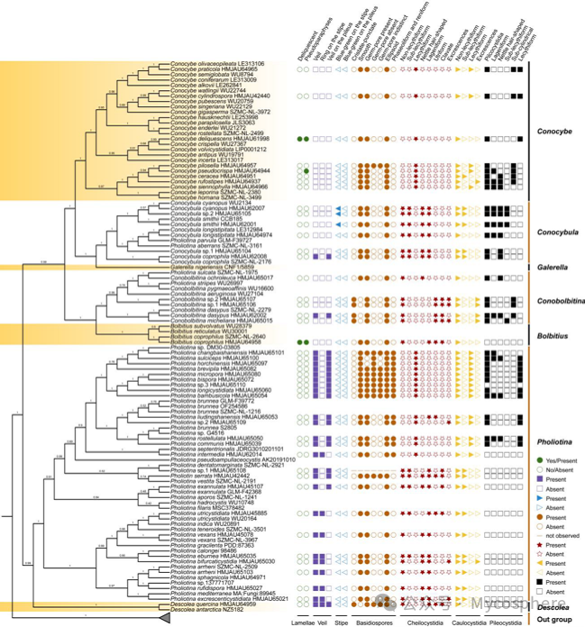 圖片關(guān)鍵詞 圖片關(guān)鍵詞