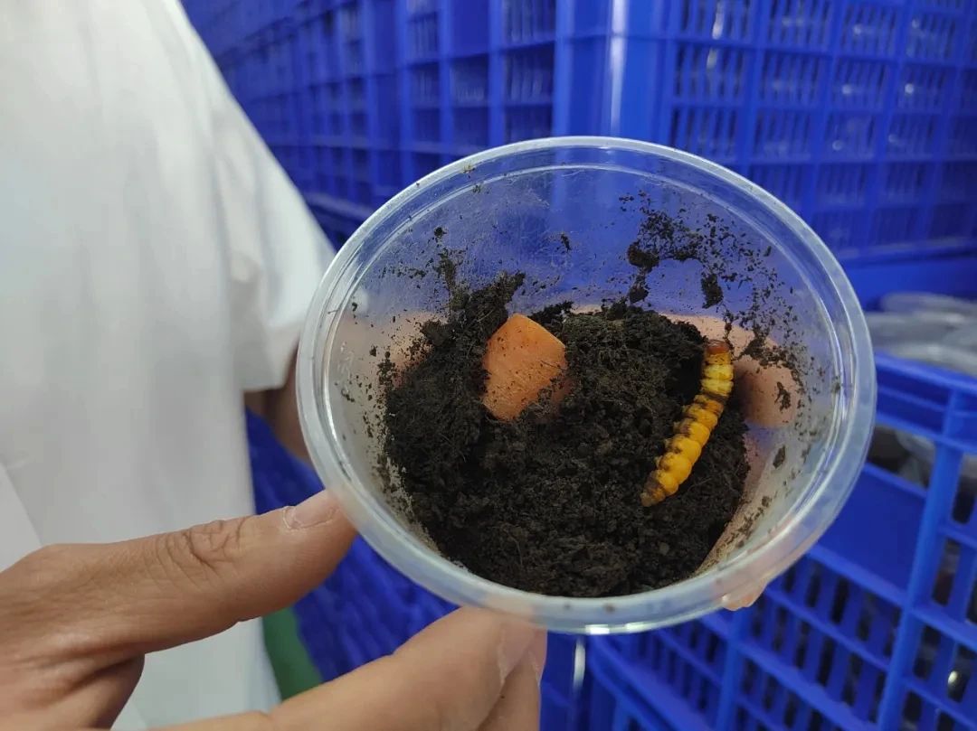 圖片關鍵詞 圖片關鍵詞