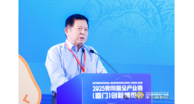 行業(yè)動態(tài)