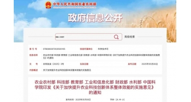 行業(yè)動態(tài)